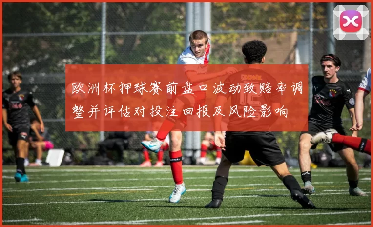 欧洲杯押球赛前盘口波动致赔率调整并评估对投注回报及风险影响