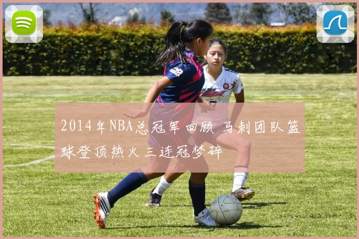 2014年NBA总冠军回顾 马刺团队篮球登顶热火三连冠梦碎