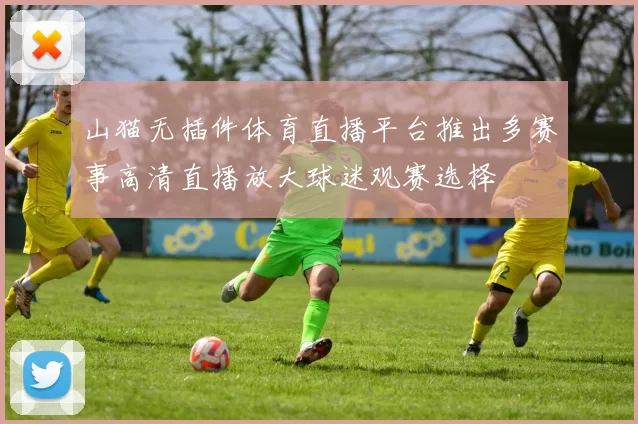山猫无插件体育直播平台推出多赛事高清直播放大球迷观赛选择
