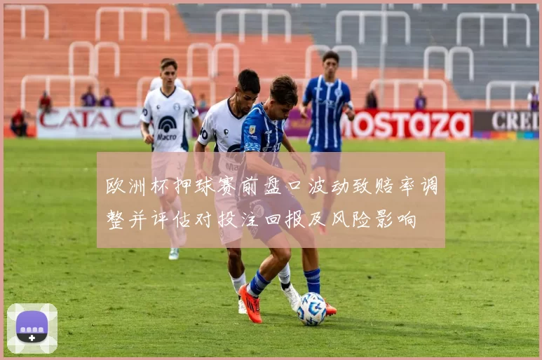 欧洲杯押球赛前盘口波动致赔率调整并评估对投注回报及风险影响