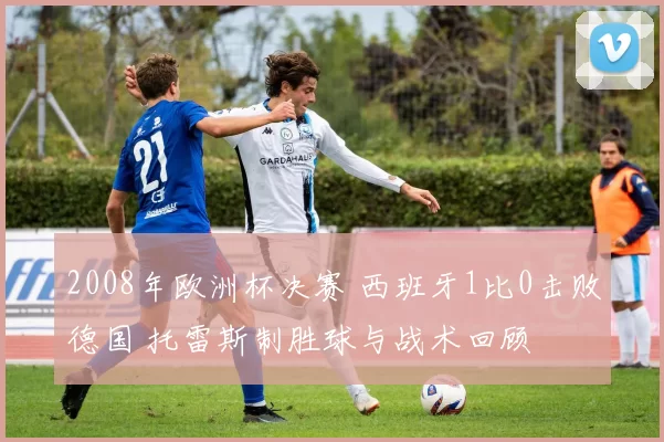 2008年欧洲杯决赛 西班牙1比0击败德国 托雷斯制胜球与战术回顾